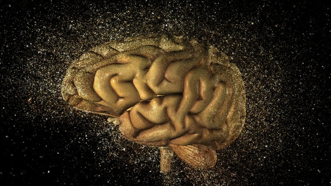 A human brain covered in shimmering gold dust, suspended against a dark cosmic background, symbolizing intelligence, creativity, and the power of thought | Hurcann