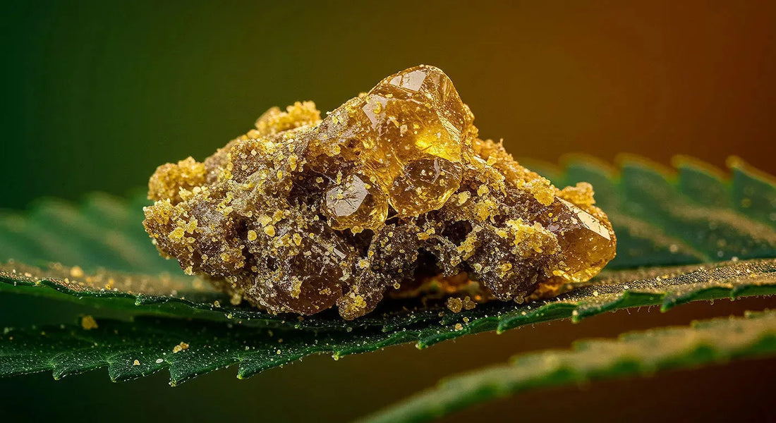 Macro shot of golden THCA hash crystals on raw cannabis leaves with a green and amber gradient background, symbolizing therapeutic purity.