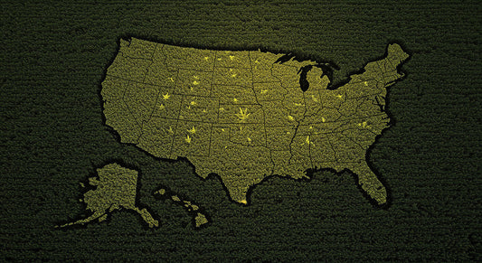 A U.S. map carved in a hemp field with glowing THCA hash marking legal states, shadowy restricted areas, and gray clouds over uncertain states at twilight.