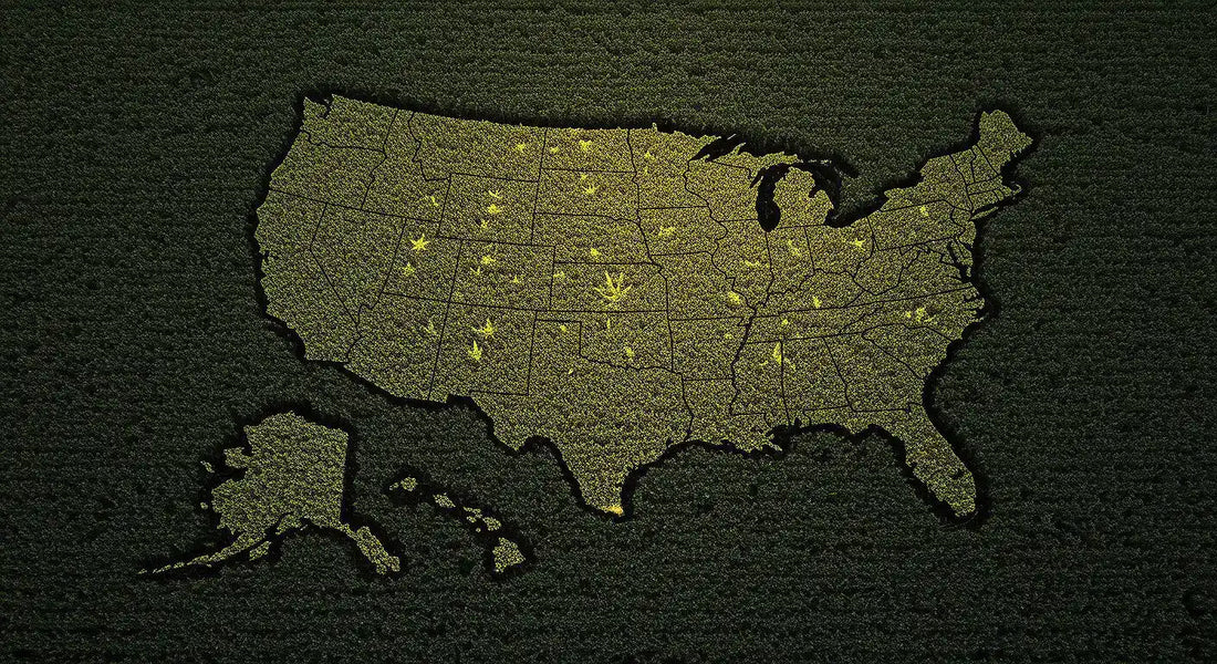 A U.S. map carved in a hemp field with glowing THCA hash marking legal states, shadowy restricted areas, and gray clouds over uncertain states at twilight.