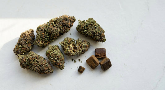 achat CBD en gros wholesale CBD flower and hash bulk display Hurcann
