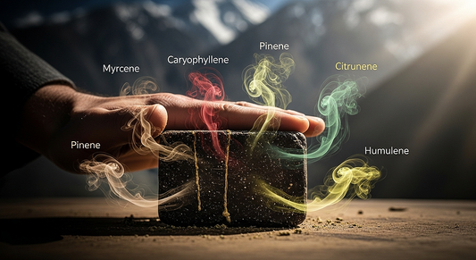 THCA Afghan hash block surrounded by terpene aromas over Hindu Kush mountains, representing scent, flavor, and effects