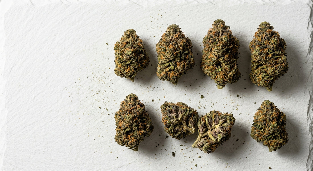 premium THCA hemp flower buds flat lay for Arete Hemp Asheville guide 2026