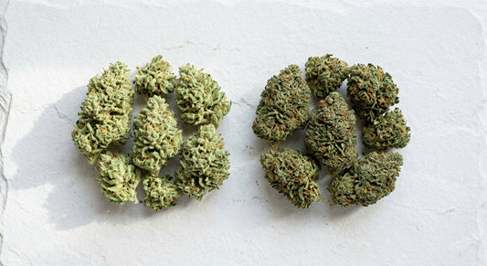 benefits of CBG vs CBD hemp flower buds side by side comparison Hurcann