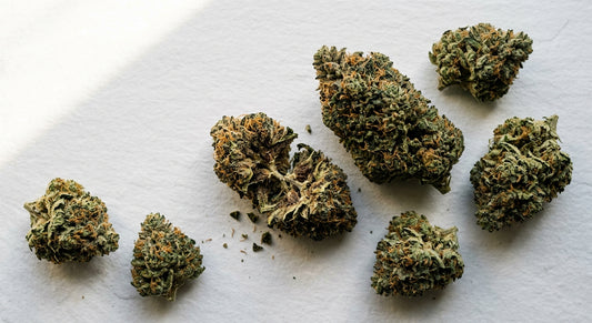 best CBD flower low THC dense green hemp buds flat lay on white surface 2026