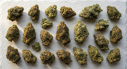 best CBD flower premium hemp buds multiple strains trichome coverage quality