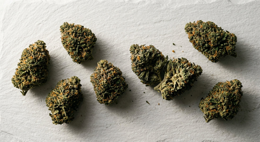 best CBD strain for anxiety Hawaiian Haze dense green hemp flower buds Hurcann