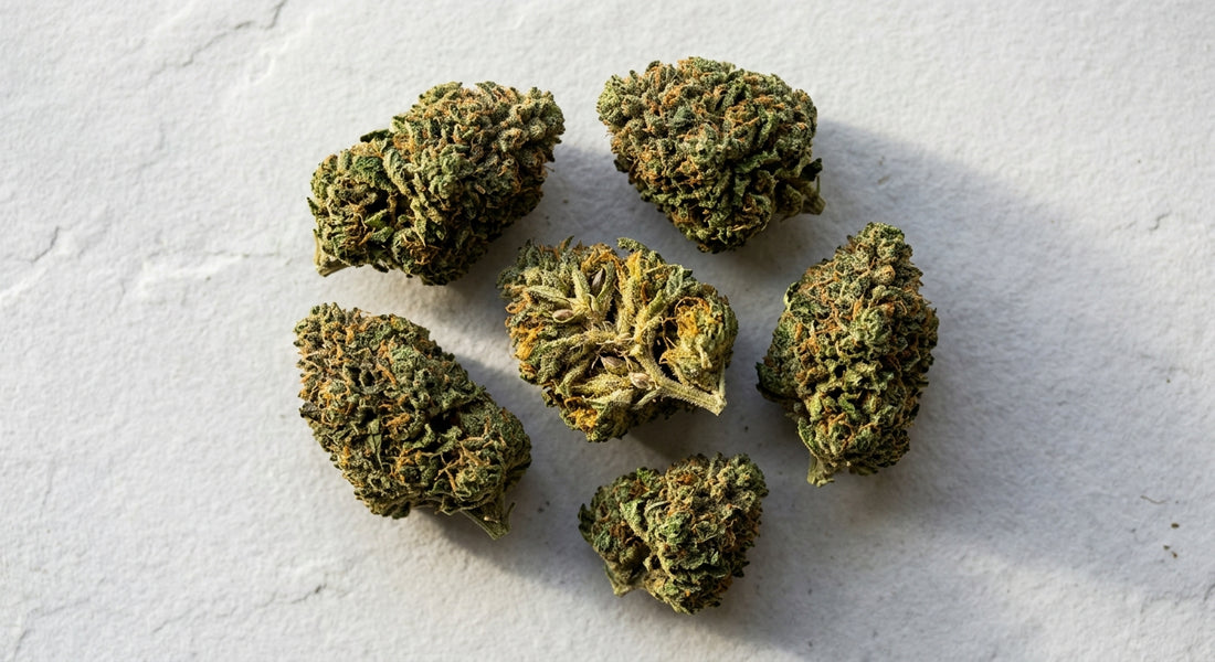 best hemp flower for pain relief CBD buds on white surface Hurcann