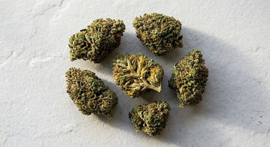 best hemp flower for pain relief CBD buds on white surface Hurcann