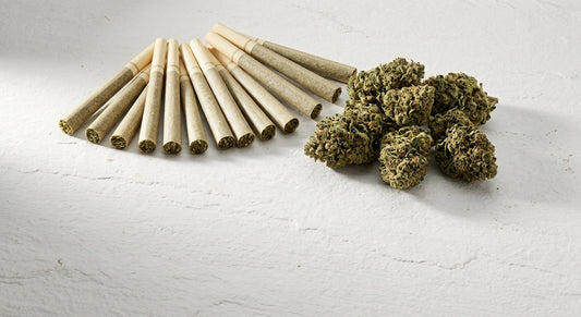 best hemp cigarettes 2026 flat lay with CBD hemp flower buds on white surface