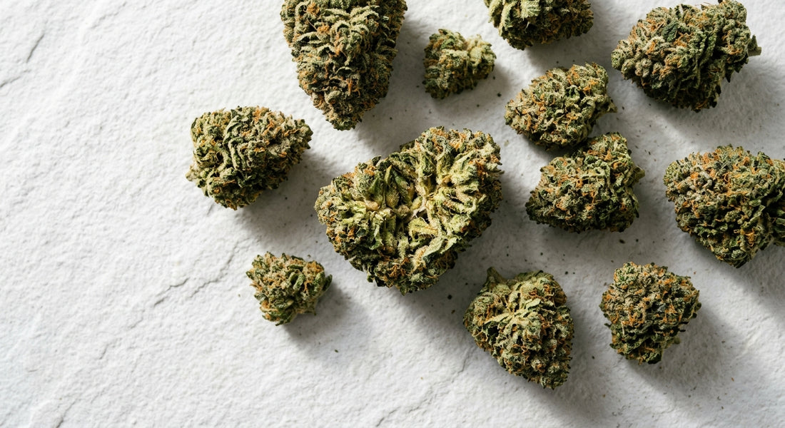 Best indoor hemp flower buds dense trichome-covered THCA CBD premium 2026 Hurcann