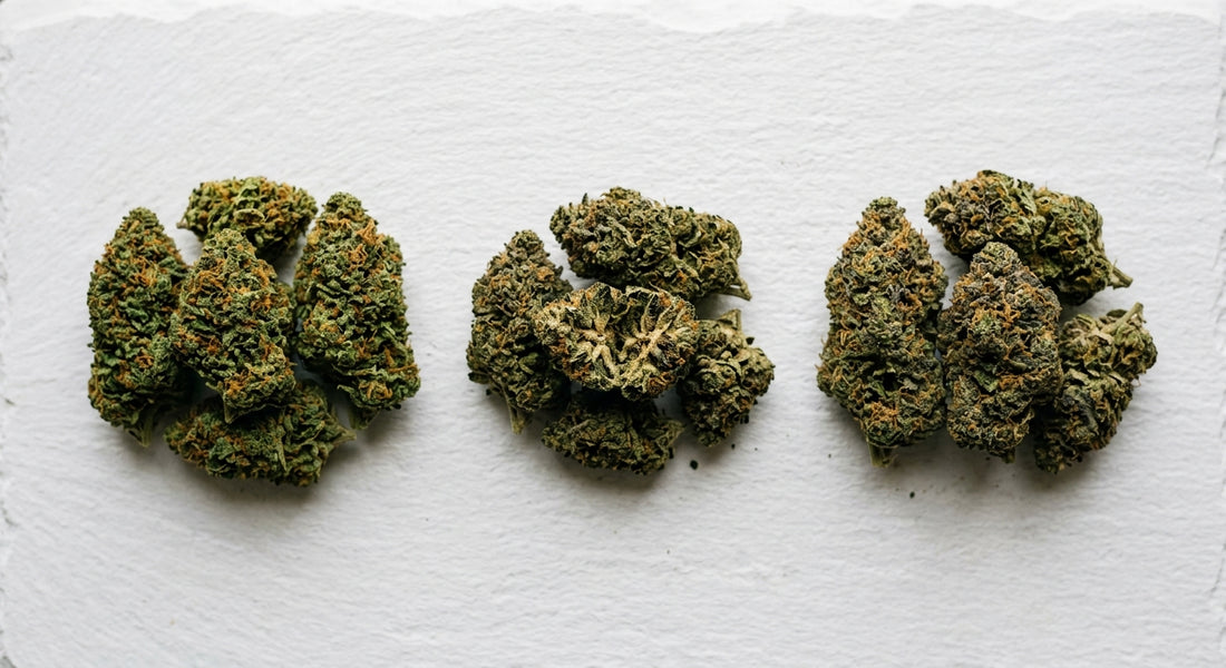best CBD hemp flower strains for anxiety and depression flat lay Hurcann 2026