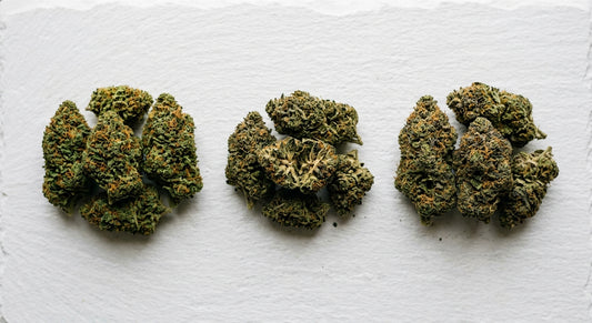 best CBD hemp flower strains for anxiety and depression flat lay Hurcann 2026