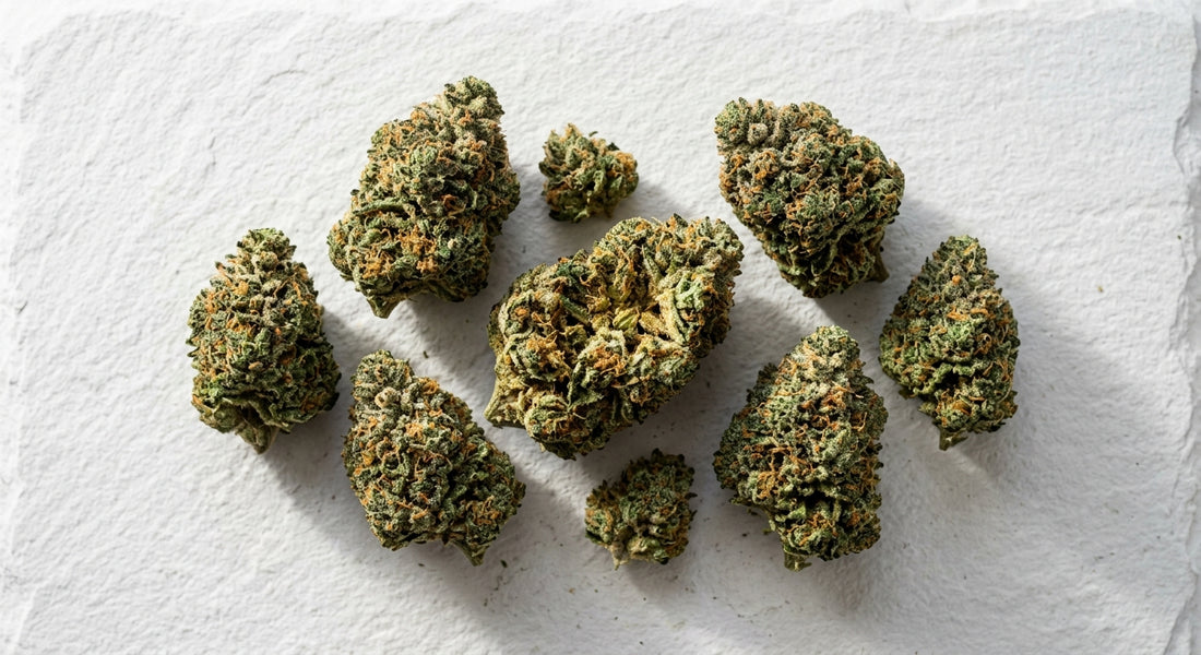 best THCA flower 2026 dense indoor-grown buds with visible trichomes on white surface