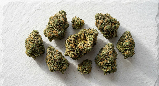 best THCA flower 2026 dense indoor-grown buds with visible trichomes on white surface