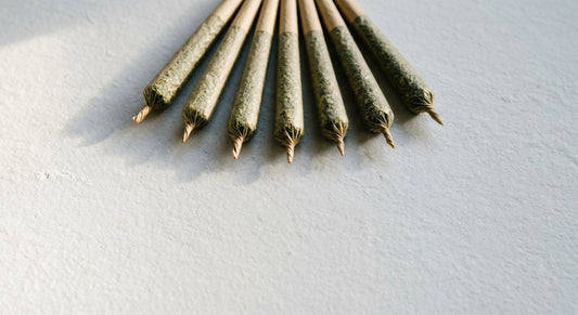 best THCA prerolls 2026 fanned out on white surface showing quality hemp joints