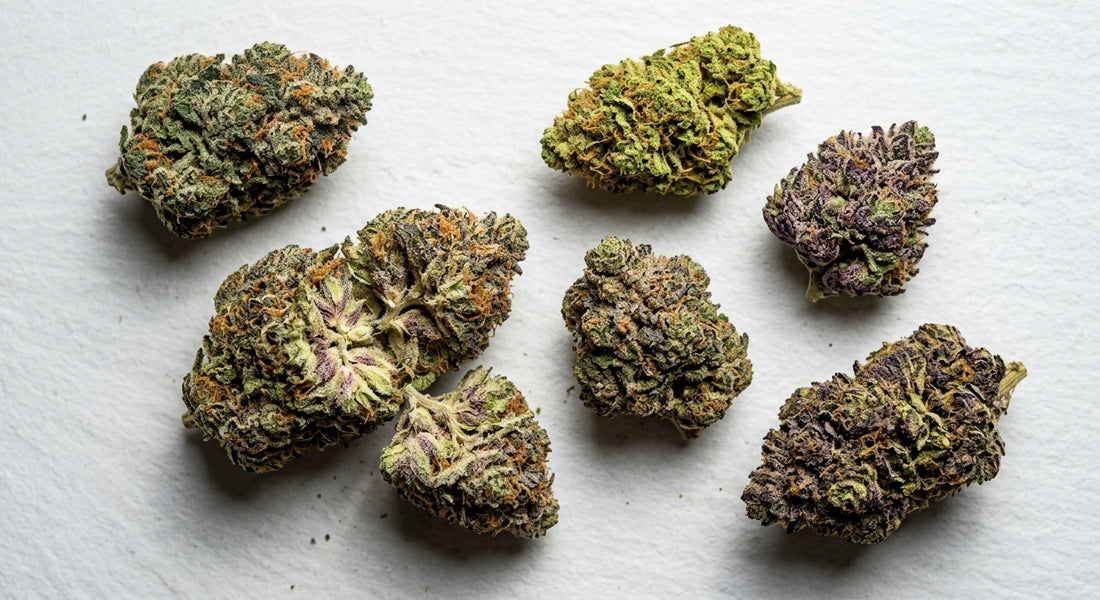 best THCA strains 2026 premium hemp flower buds flat lay comparison Hurcann