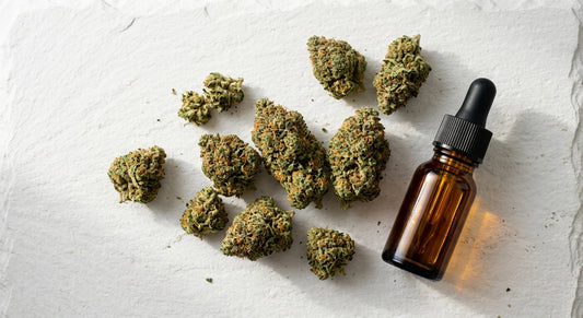 beste CBD producten 2026 overzicht CBD bloem en olie op witte ondergrond