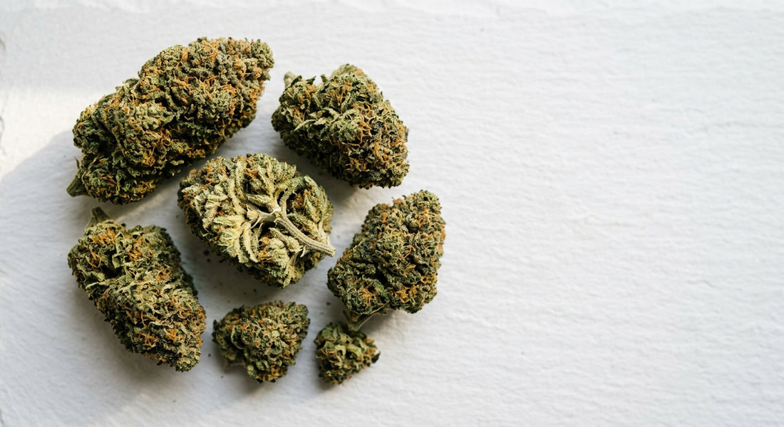 bienfaits CBD fleur de chanvre premium dense et résineuse sur surface blanche Hurcann