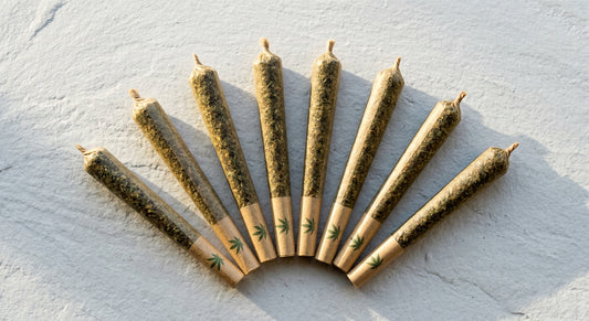 big chief hemp pre-rolls fanned out flat lay CBD joints 2026 buying guide