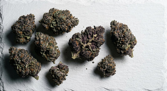 blue CBD hemp flower buds with purple anthocyanin coloring flat lay Hurcann