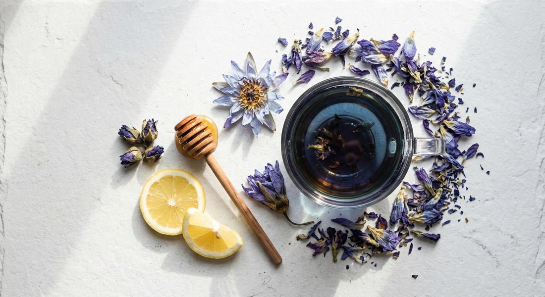 blue lotus drink recipes dried petals and brewed tea on white surface Hurcann