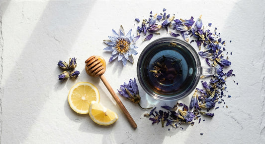 blue lotus drink recipes dried petals and brewed tea on white surface Hurcann
