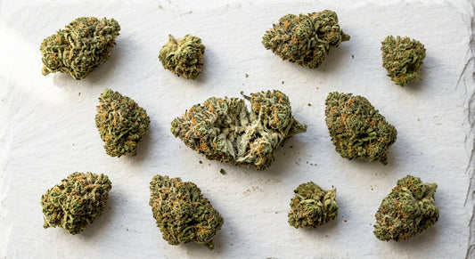 bulk THCA flower pounds wholesale dense hemp buds on white surface Hurcann