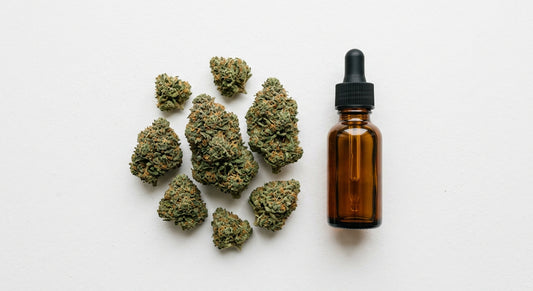 can CBD hurt your liver — CBD hemp flower and tincture on white surface
