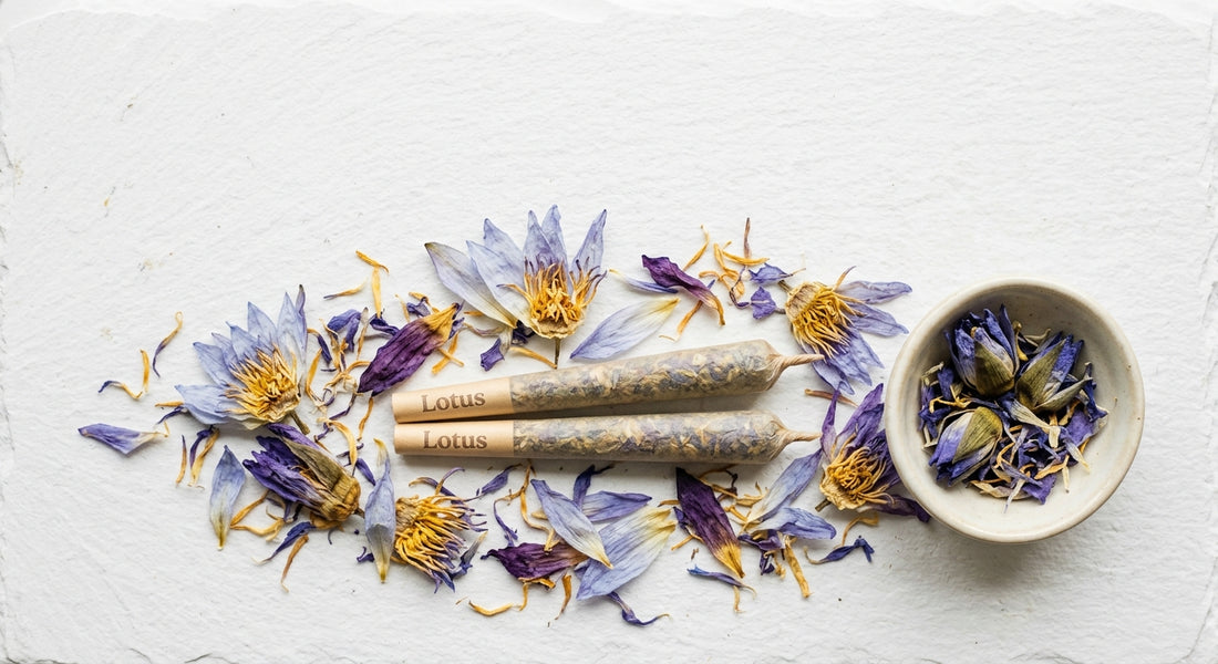 buy blue lotus in stores dried flower and pre-rolls flat lay on white surface