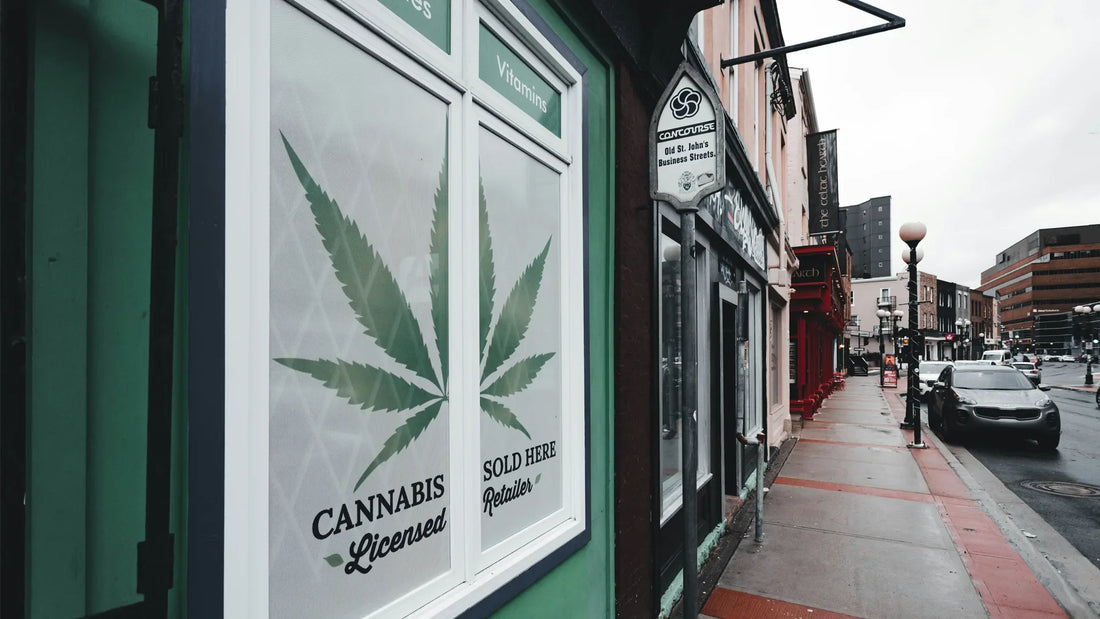 A cannabis dispensary storefront with large windows displaying a green cannabis leaf design and the words "CANNABIS Licensed" and "SOLD HERE Retailer." The shop is located on an urban | Hurcann