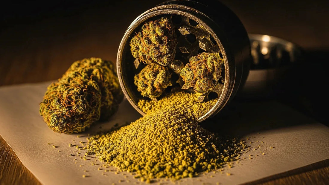 Cannabis grinder releasing golden kief powder representing the process of making kief at home | Hurcann