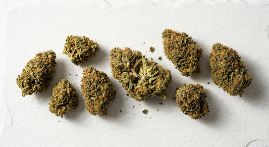 CBD Automat Leipzig 2026 – dichte CBD Blüten Großhandel Qualität Hurcann