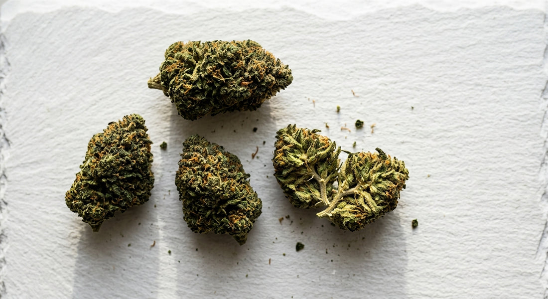 CBD bloemen kopen Nederland premium hennepbloem buds gedroogd 2026 Hurcann
