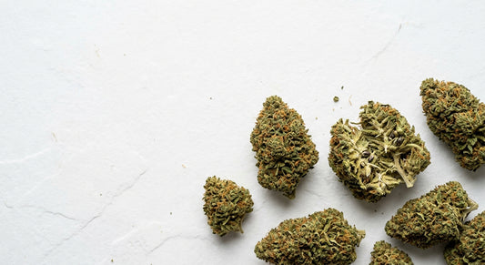 CBD Blüten auf Rechnung kaufen Großhandel Premium Hanfblüten Überblick