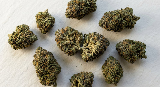CBD Blüten Großhandel Premium-Hanfblüten lose auf weißer Oberfläche Hurcann