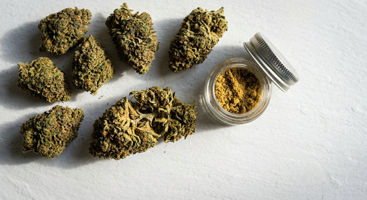 CBD Blüten Großhandel Preisvergleich Deutschland Premium-Hanfblüten auf weißer Fläche