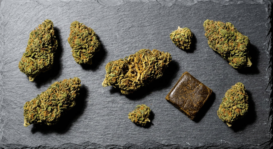 CBD deli hemp flower and hash displayed on white surface for French retail