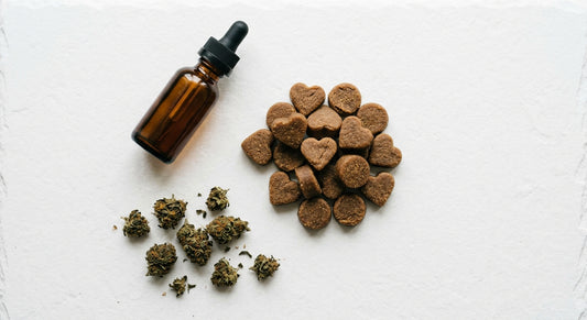 CBD dog joint supplements tincture and chews flat lay on white surface Hurcann
