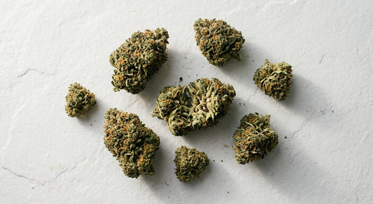CBD flower wholesale Germany premium hemp buds bulk supply Hurcann
