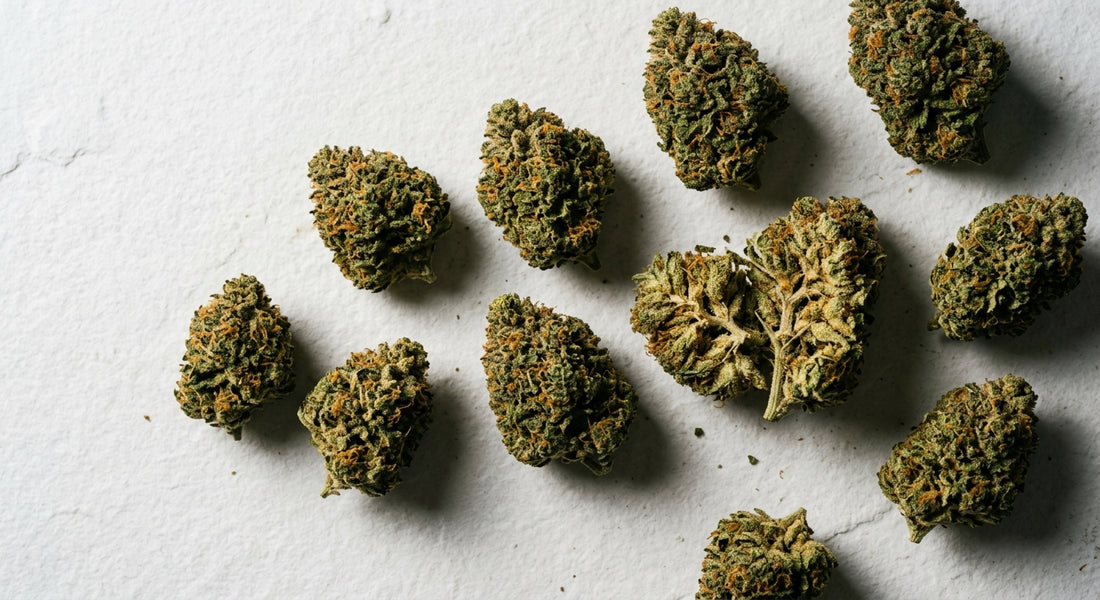 CBD flower wholesale Netherlands premium hemp buds bulk order Hurcann
