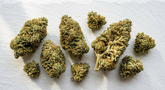 CBD flowers to smoke premium hemp buds flat lay on white surface Hurcann