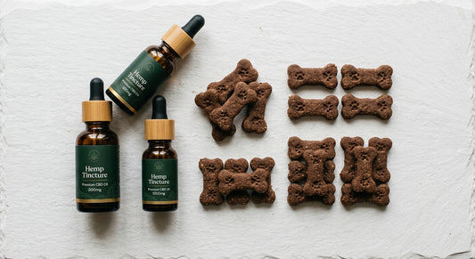CBD for dogs joints product flat lay including hemp oil tinctures and treats 2026