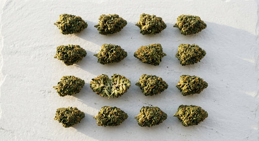 CBD groothandel minimale afname bloem buds op wit oppervlak wholesale Hurcann 2026