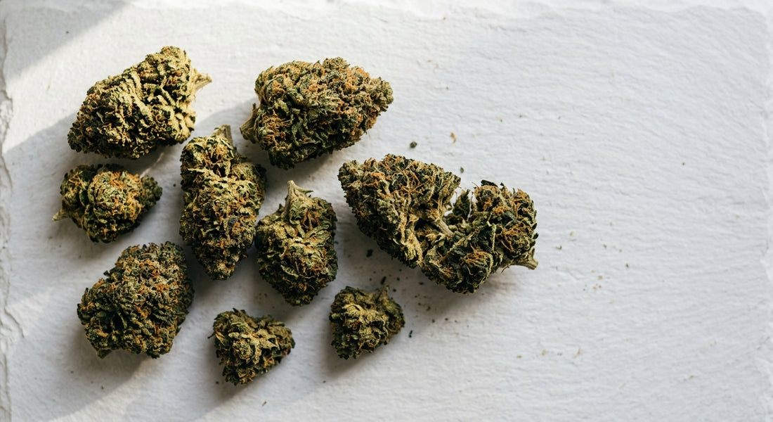 CBD high hemp flower buds flat lay showing dense green trichome-covered nugs
