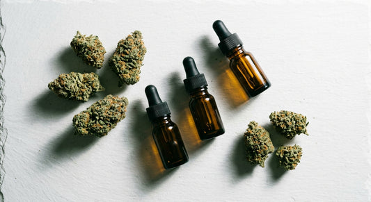 CBD hurtownia produkty konopne kwiaty olej CBD hurt wholesale Polska 2026