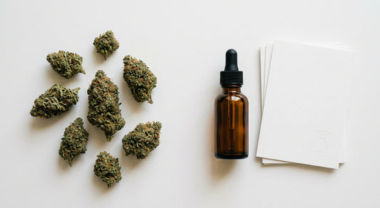 CBD import regulations Europe 2026 hemp flower buds with compliance documents Hurcann