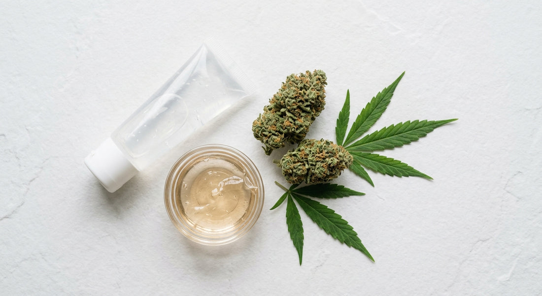 CBD joint gel topical hemp product flat lay with hemp flower buds 2026
