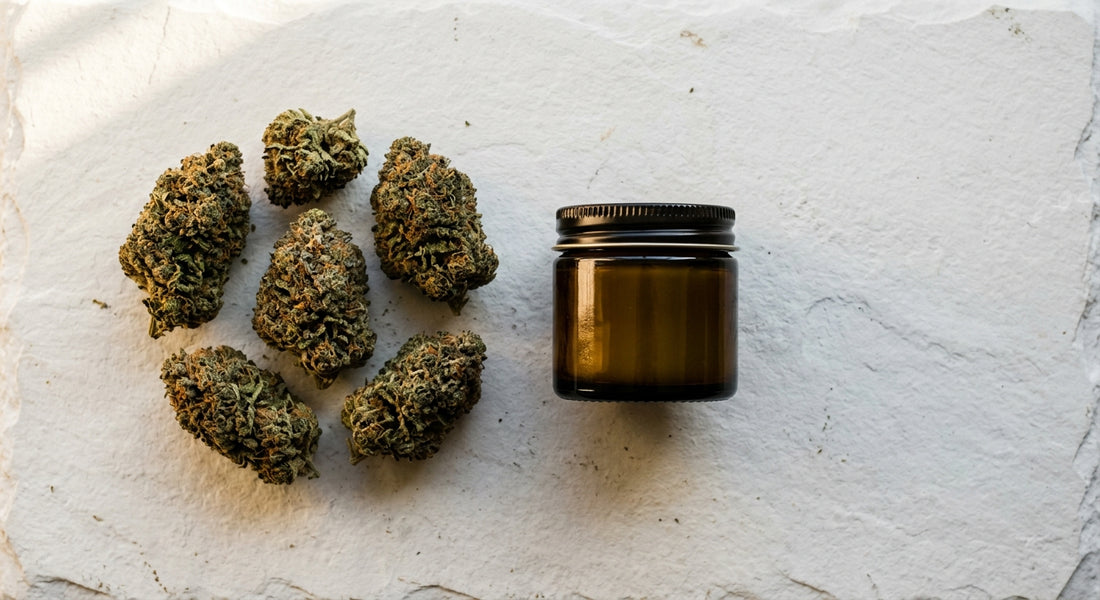 CBD joint and muscle balm flat lay with hemp flower buds and balm jar