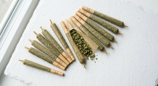 CBD joints hemp pre-rolls fan display indoor grown lab tested 2026 Hurcann